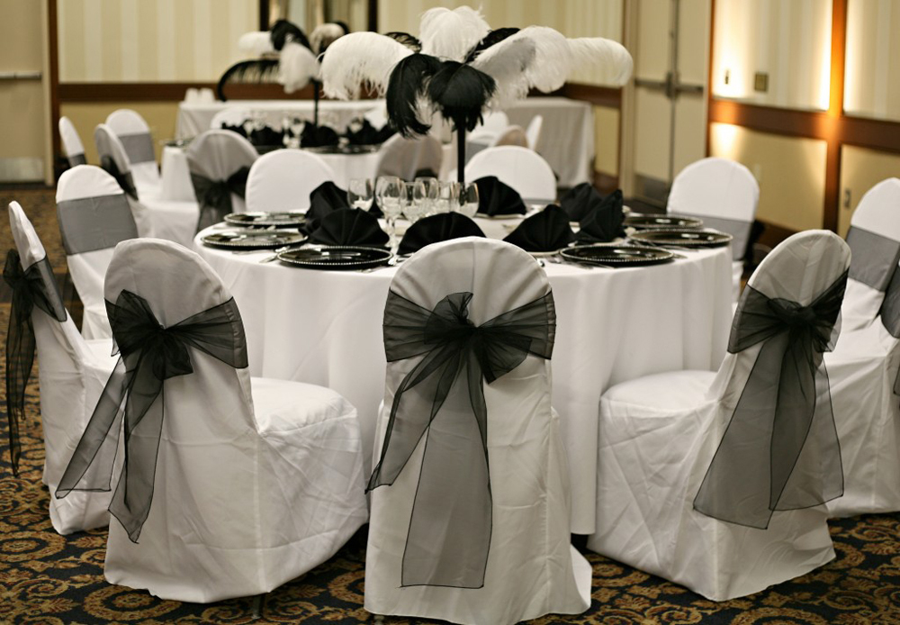 Nœuds de chaise en Organza noi - Chair Sash Organza avis et prix